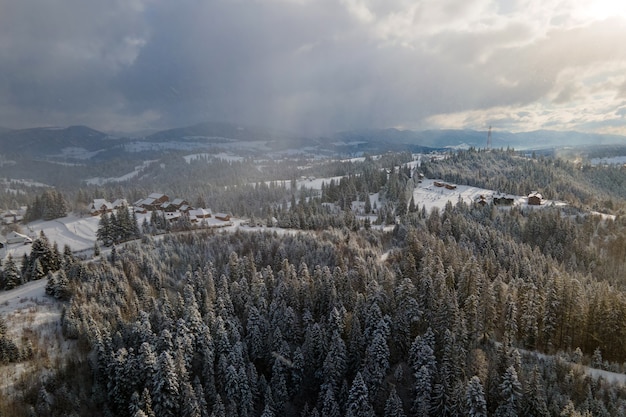 Paesaggio invernale con abeti della foresta innevata in montagne fredde.