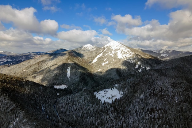 Paesaggio invernale con abeti della foresta innevata in montagne fredde.