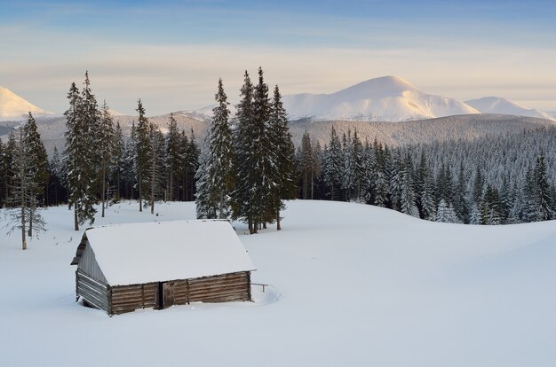 Paesaggio invernale con alberi coperti di neve