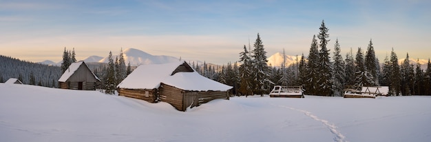 Paesaggio invernale con alberi coperti di neve