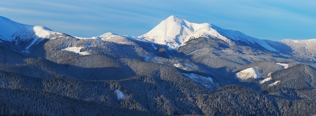 Paesaggio invernale con alberi coperti di neve