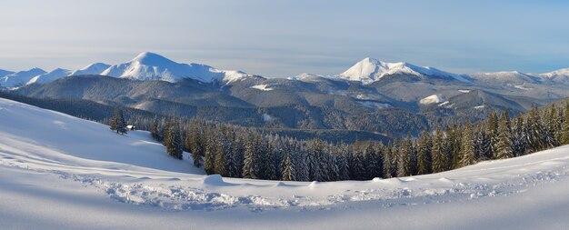 Paesaggio invernale con alberi coperti di neve