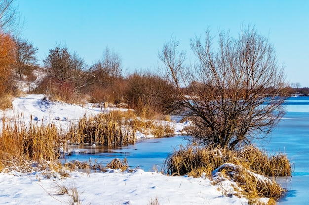 Paesaggio invernale con alberi e canne secche in riva al fiume