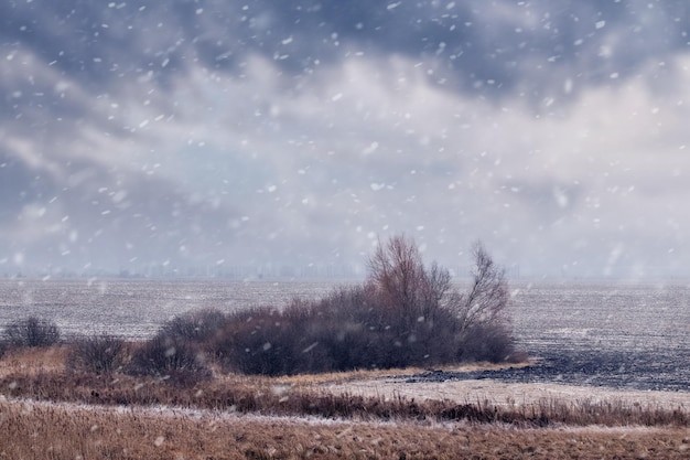 Paesaggio invernale con alberi e cespugli nel campo e cielo nuvoloso durante le nevicate