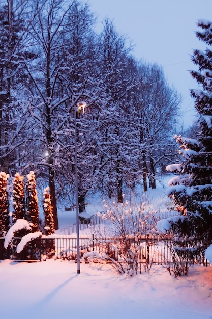 Paesaggio invernale con alberi innevati