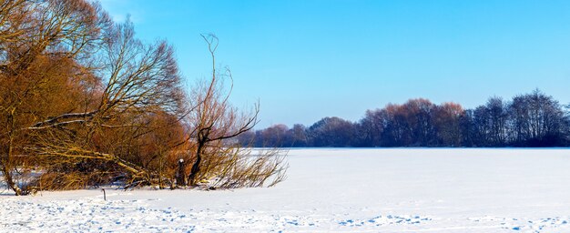 Paesaggio invernale con alberi sulle rive del fiume ricoperti di ghiaccio e neve in una giornata di sole, panorama