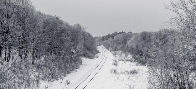 Paesaggio invernale con binario ferroviario nella foresta, immagine in bianco e nero_