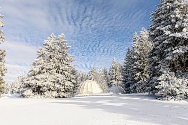 Paesaggio invernale con capanne