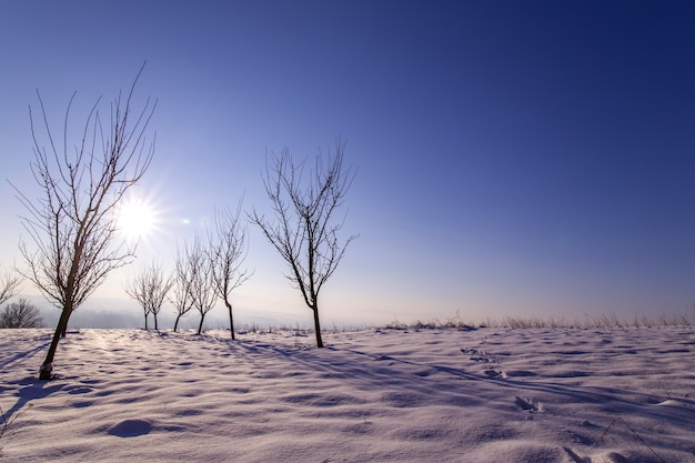 Paesaggio invernale con cielo blu