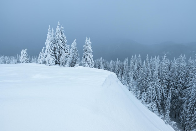 Paesaggio invernale con cumuli di neve