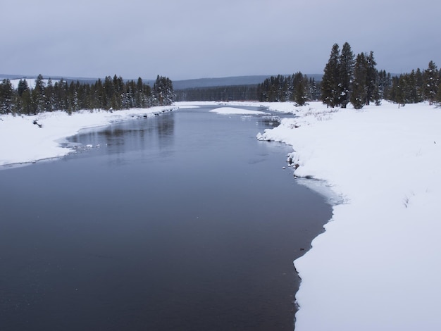 Paesaggio invernale con fiume ghiacciato nel parco nazionale Great Teton.