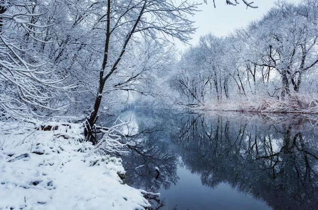 Paesaggio invernale con fiume nella foresta.