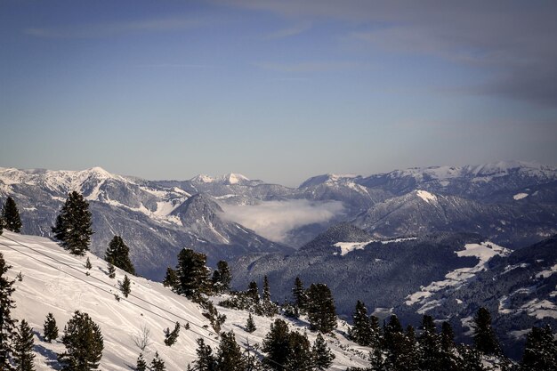 Paesaggio invernale con montagne, foreste e neve. Sport, ricreazione.