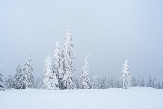 Paesaggio invernale con nebbia in montagna