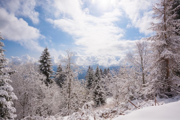 Paesaggio invernale con neve dall'Altopiano di Asiago