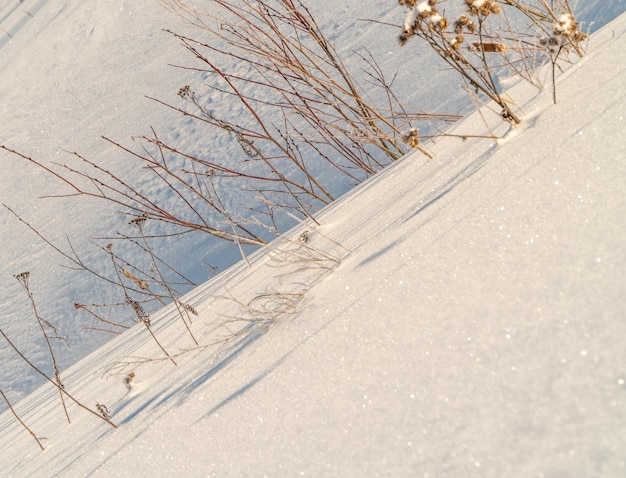 Paesaggio invernale con neve e alberi. Paesaggio naturale in inverno