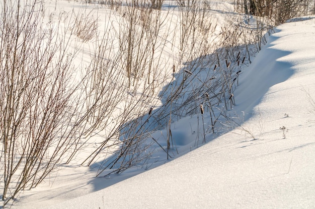 Paesaggio invernale con neve e alberi. Paesaggio naturale in inverno