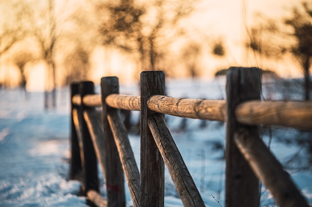 Paesaggio invernale con ringhiera in legno vicino al sentiero innevato che conduce attraverso il campo con alberi spogli al tramonto in campagna