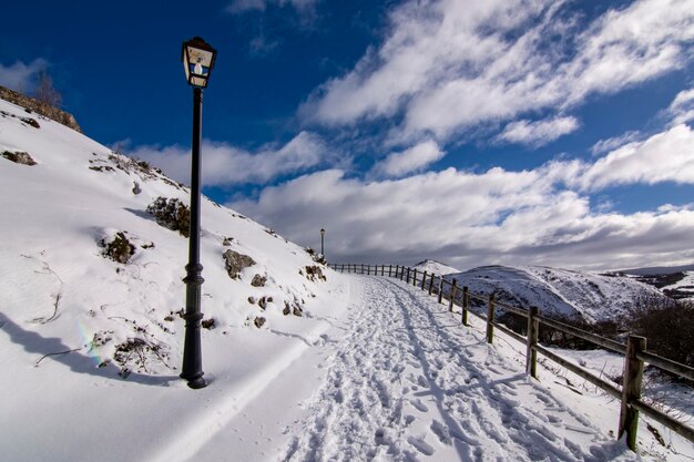 Paesaggio invernale con spazio di copia