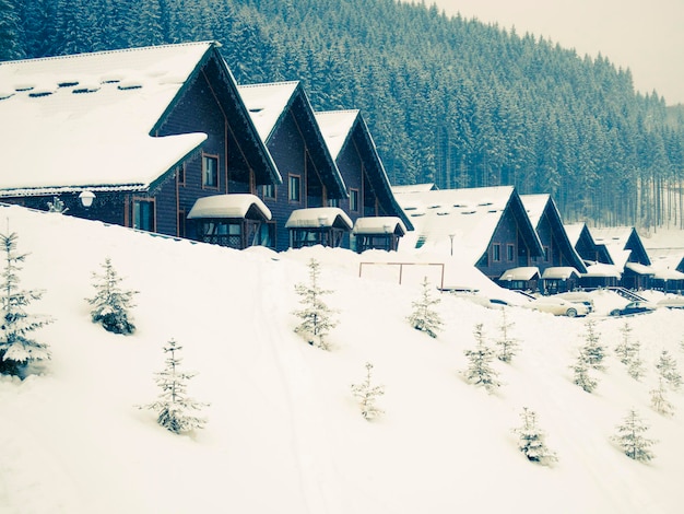 Paesaggio invernale con villaggio coperto di neve fresca