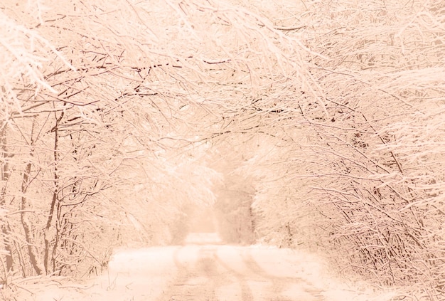 Paesaggio invernale dai toni caldi