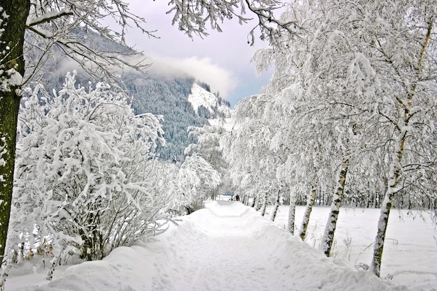 Paesaggio invernale dall'Austria