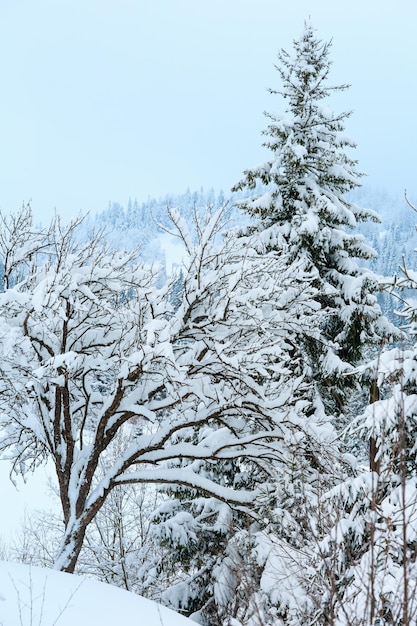 Paesaggio invernale dei Carpazi