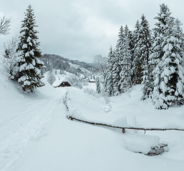 Paesaggio invernale dei Carpazi