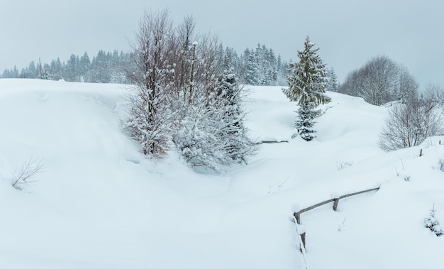 Paesaggio invernale dei Carpazi