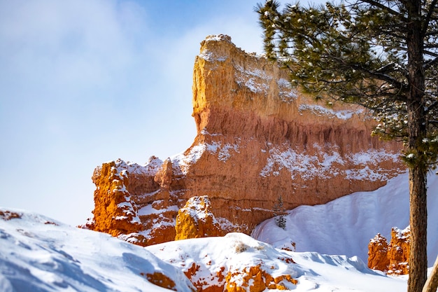 paesaggio invernale del parco nazionale del bryce canyon gelido rocce rosse coperte di neve, usa inverno