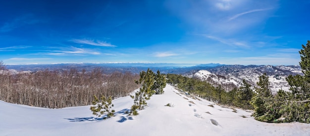 Paesaggio invernale del Parco Nazionale di Lovcen