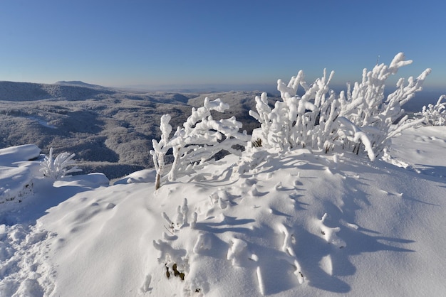 Paesaggio invernale della Slovacchia con neve