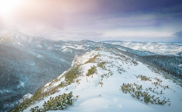 Paesaggio invernale delle montagne Tatry in inverno, Polonia. . Foto di alta qualità