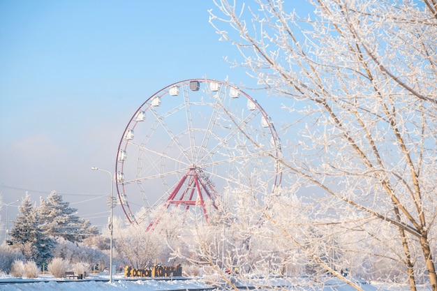 Paesaggio invernale di alberi gelidi