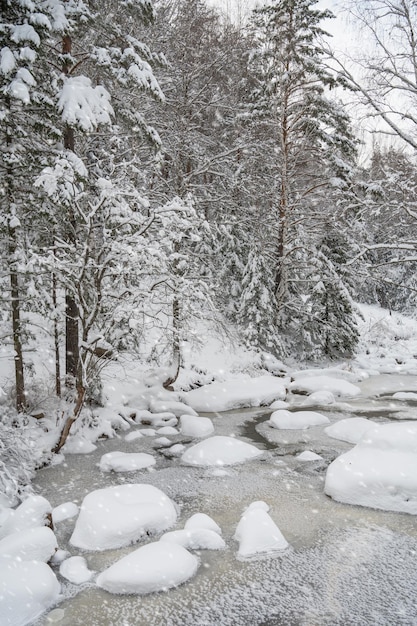 Paesaggio invernale di bellezza con alberi e fiume sotto la neve