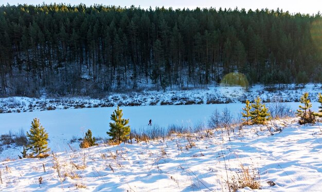 Paesaggio invernale di foresta e fiume innevato e sciatore