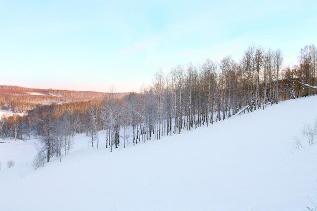 Paesaggio invernale di montagna con neve e alberi