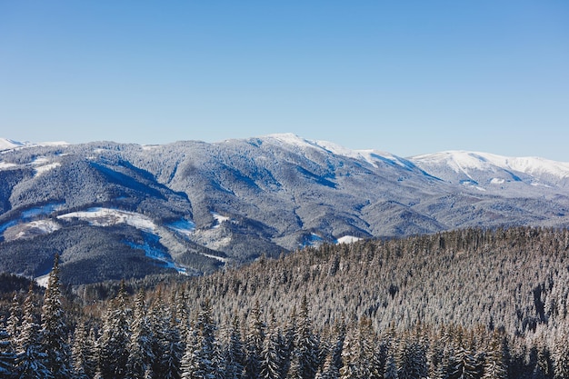 Paesaggio invernale di montagne innevate con foresta invernale Paesaggio invernale