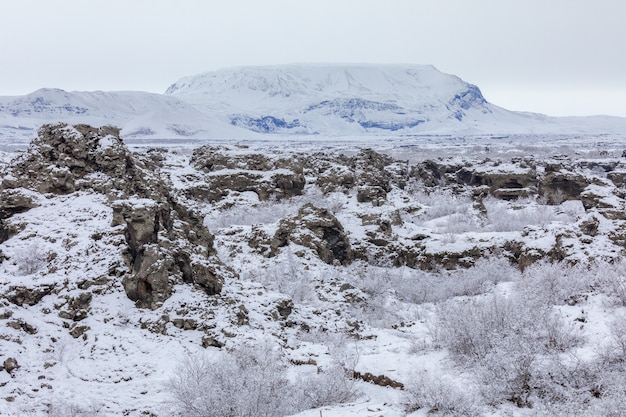 Paesaggio invernale Dimmuborgir Lago Myvatn, Islanda