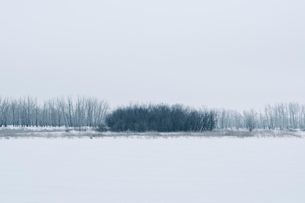 Paesaggio invernale fiume ghiacciato sullo sfondo della foresta