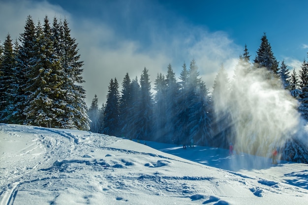 Paesaggio invernale. Foresta invernale con la neve in esecuzione nelle montagne dei Carpazi.