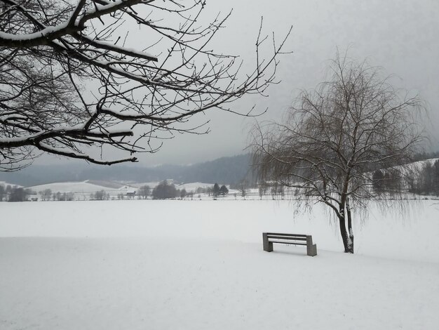 Paesaggio invernale ghiacciato con panca innevata