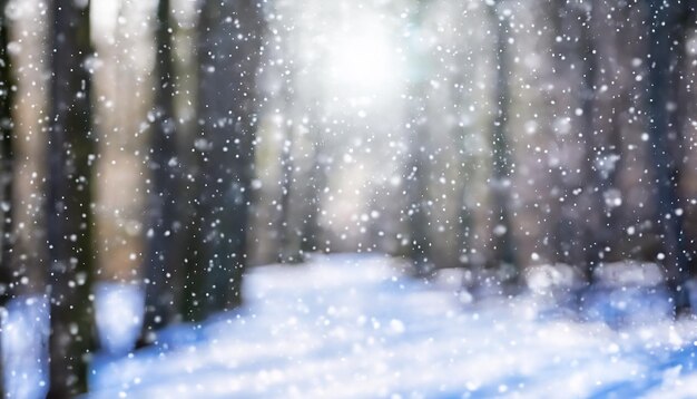 paesaggio invernale ghiacciato in una foresta innevata il sole splende attraverso gli alberi coperti di neve