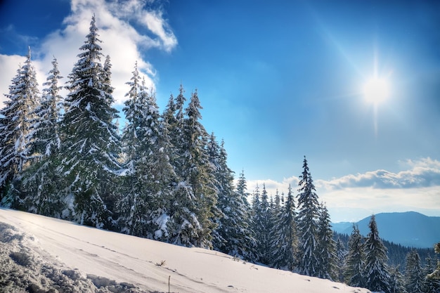 Paesaggio invernale HDR