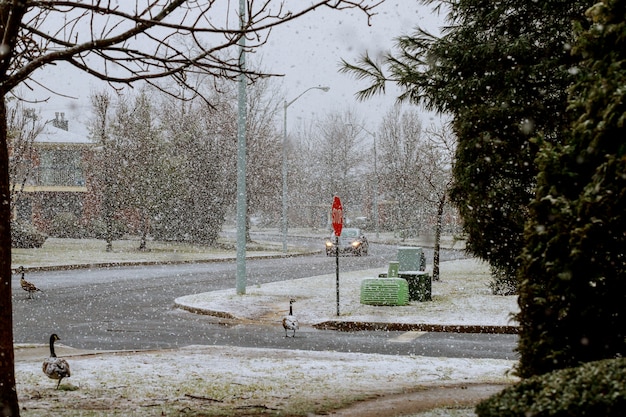 Paesaggio invernale in città.