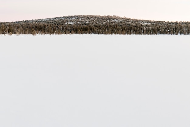 Paesaggio invernale in Kiruna Lapponia Svezia