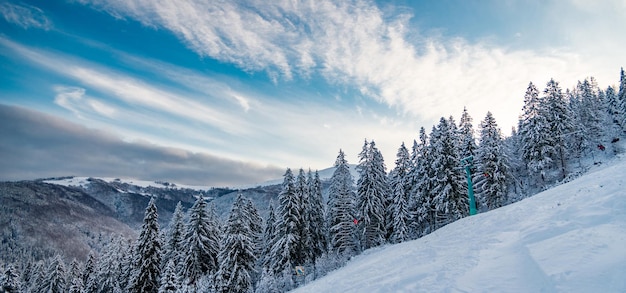 Paesaggio invernale in montagna. Carpazi, pylypets