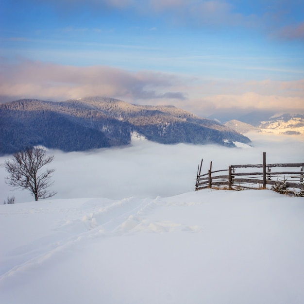 Paesaggio invernale in montagna