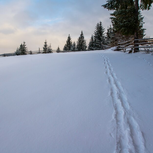 Paesaggio invernale in montagna