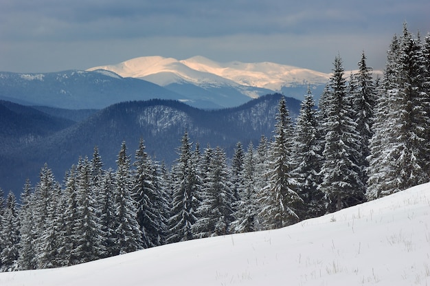 Paesaggio invernale in montagna